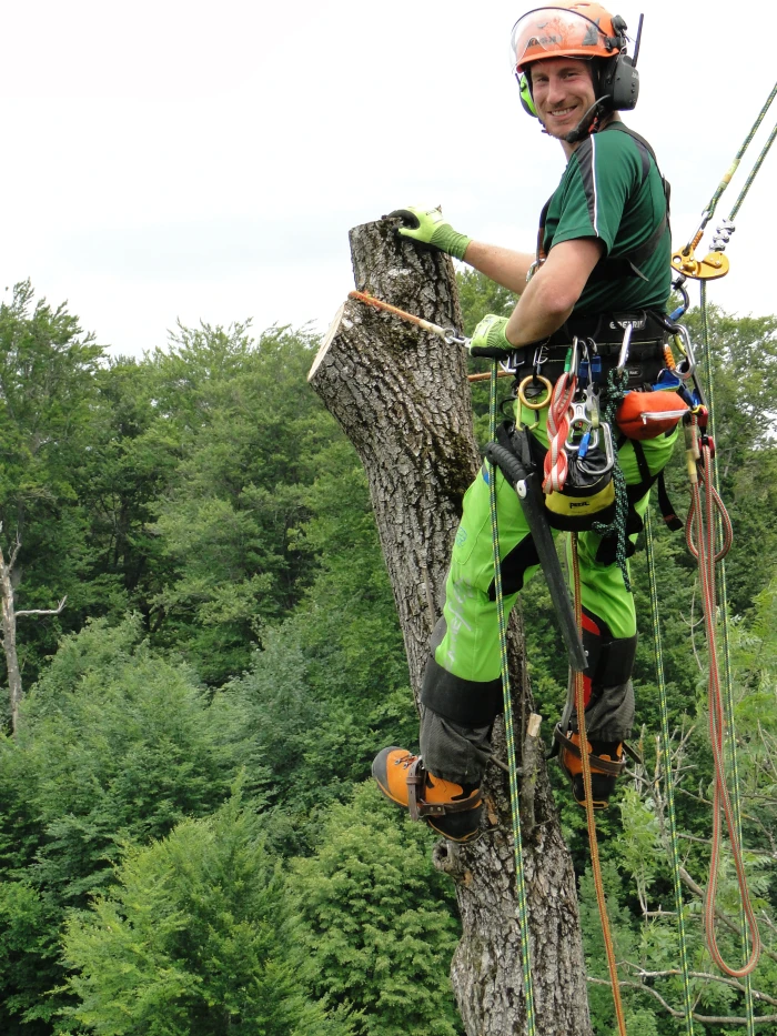 Oliver Nußbaum - mit Seilklettertechnik im Baum